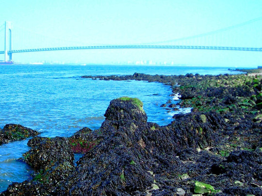 斯塔滕岛旅游攻略图片