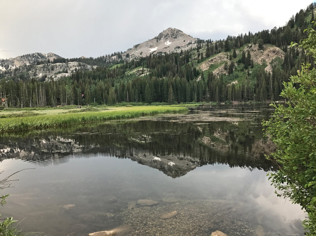 布莱敦旅游攻略图片