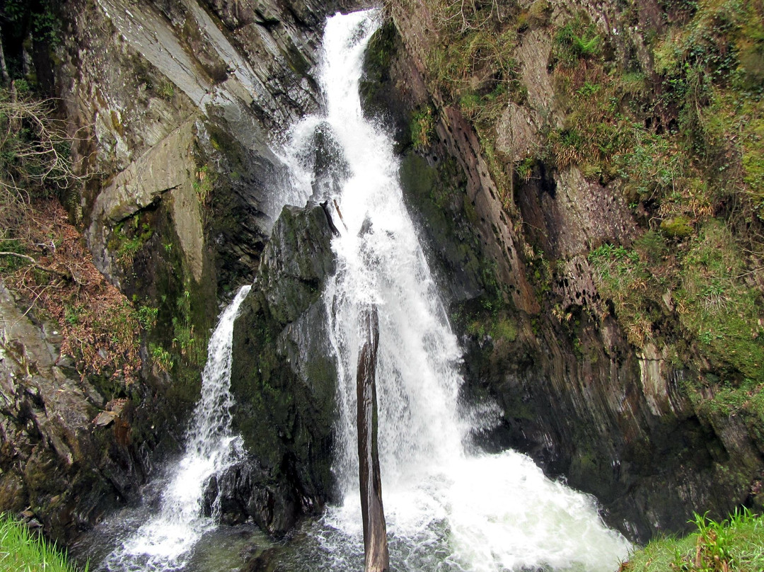 null-Devil's Bridge (Pontarfynach)