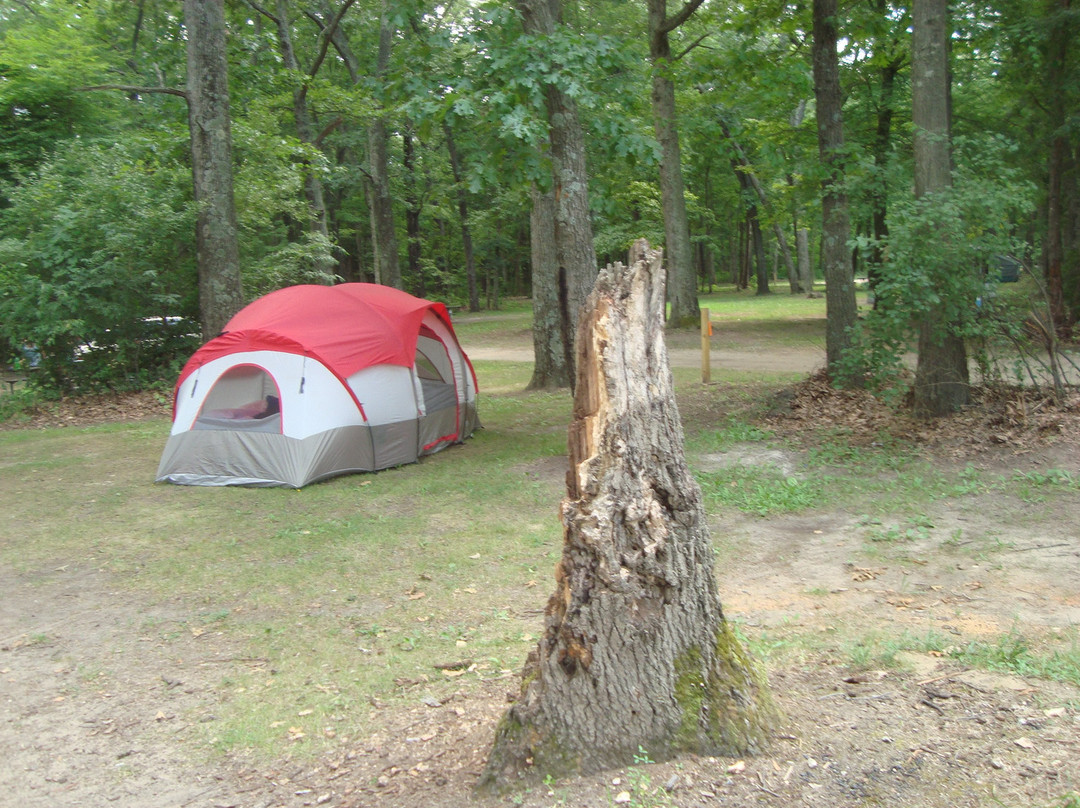 Silver Creek Park and Campground景点图片