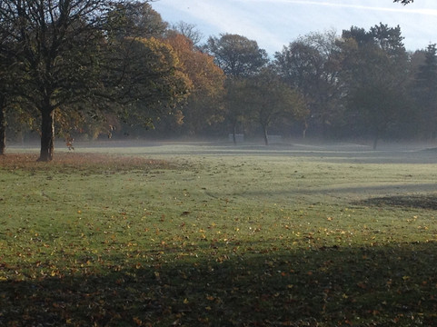 Bantock park cafe主图