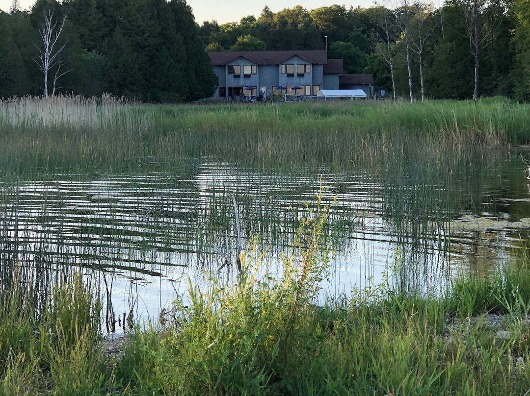 The Harbor Inn Resort