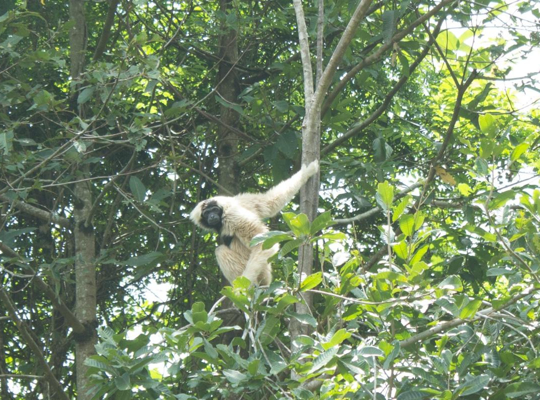 吴哥生物多样性保护中心景点图片