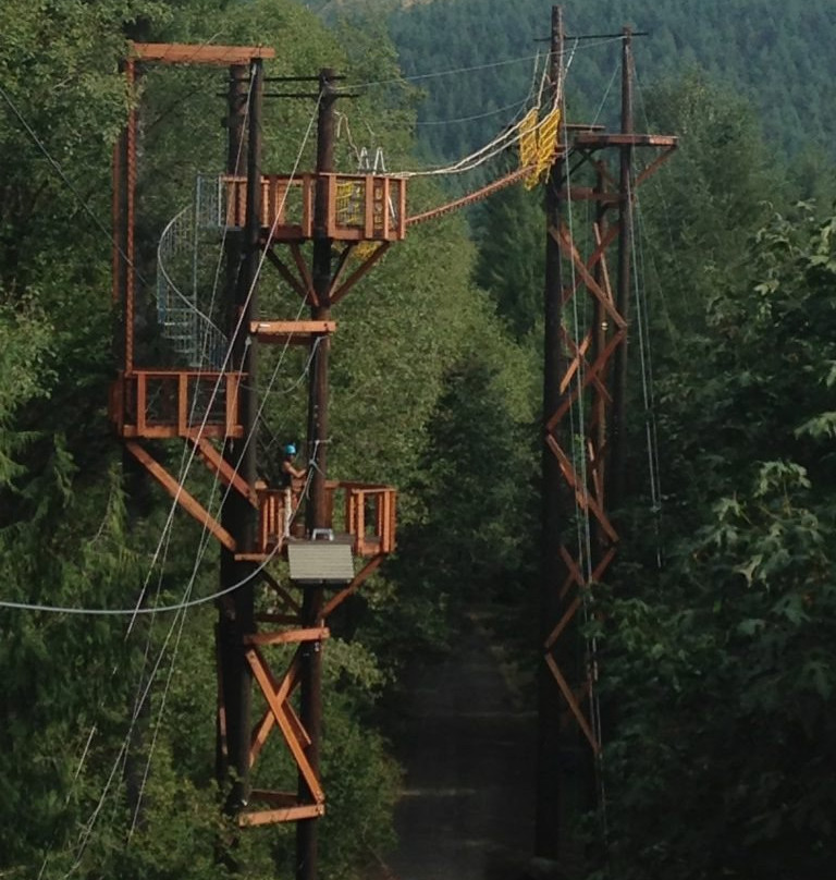 The Zipline X景点图片