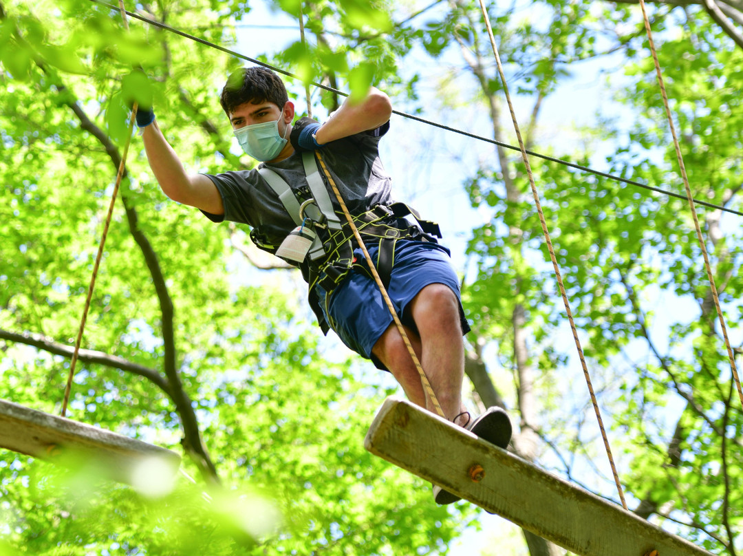 Bristol Mountain Aerial Adventures-卡南代瓜必去景点