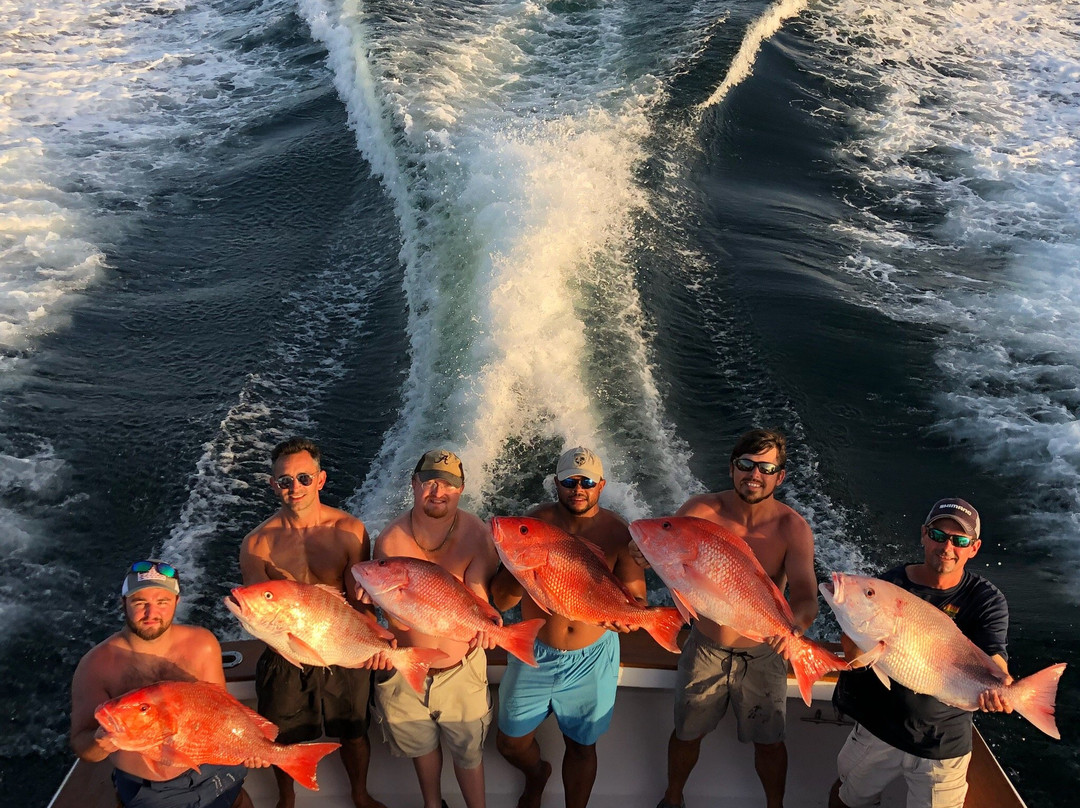 Wild Orange Charters-橙色海湾必去景点
