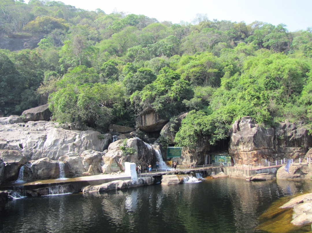 Manimuthar Waterfalls景点图片
