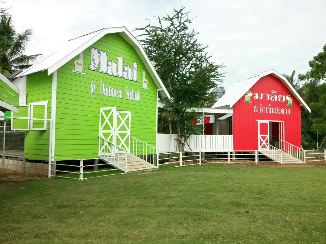 Malai Ostrich Farm景点图片