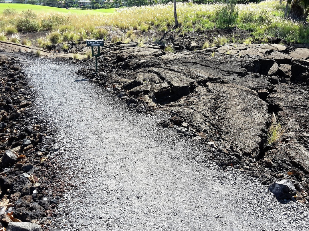 Waikoloa Petroglyph Preserve景点图片