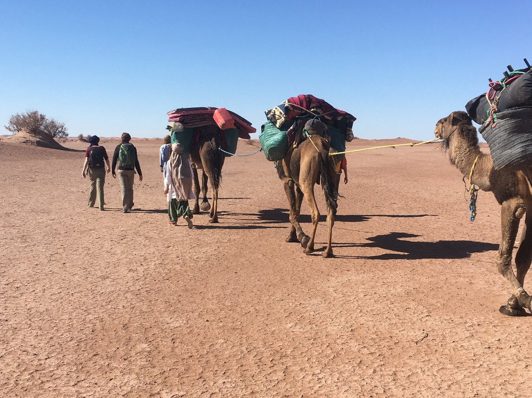 Desert Amnir Tours-迈哈米德必去景点