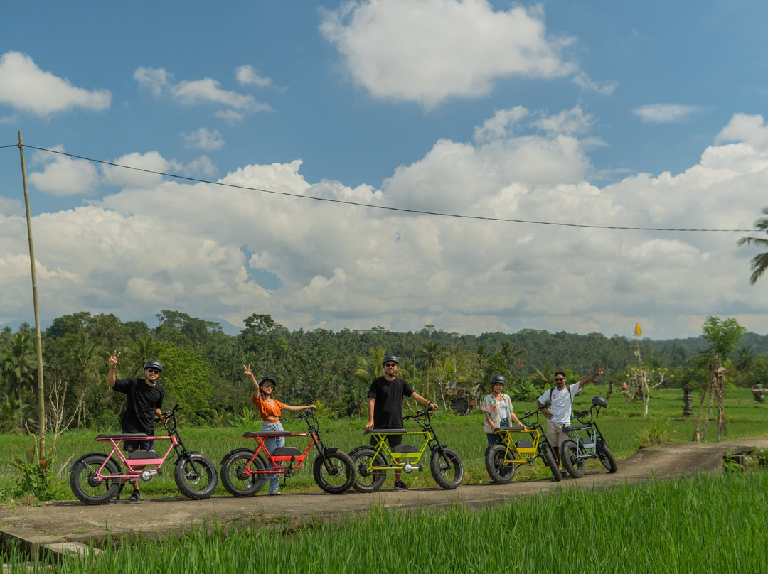Explorer the real Ubud with Electric Fat BIike-乌布必去景点