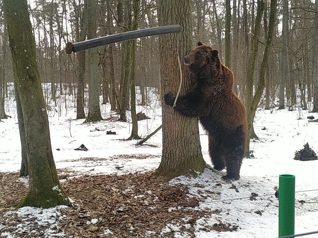 Bear Sanctuary Domazhyr-Zhorniska必去景点