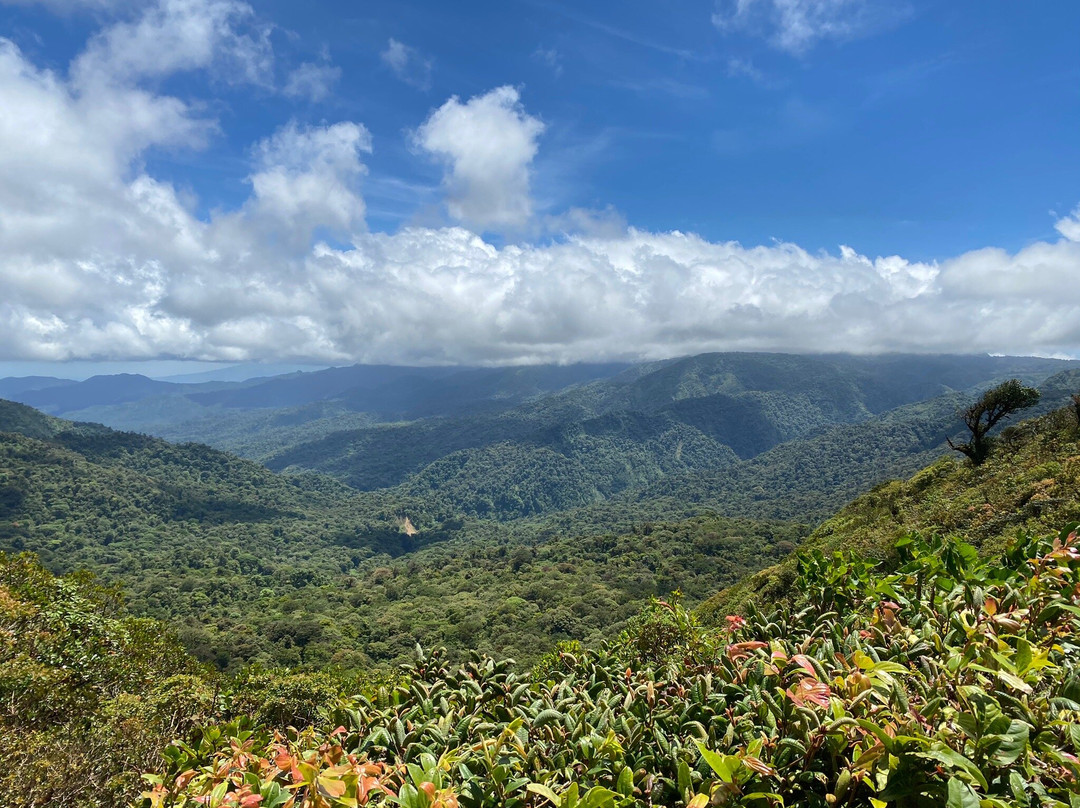 Monteverde Cloud Forest Biological Reserve景点图片
