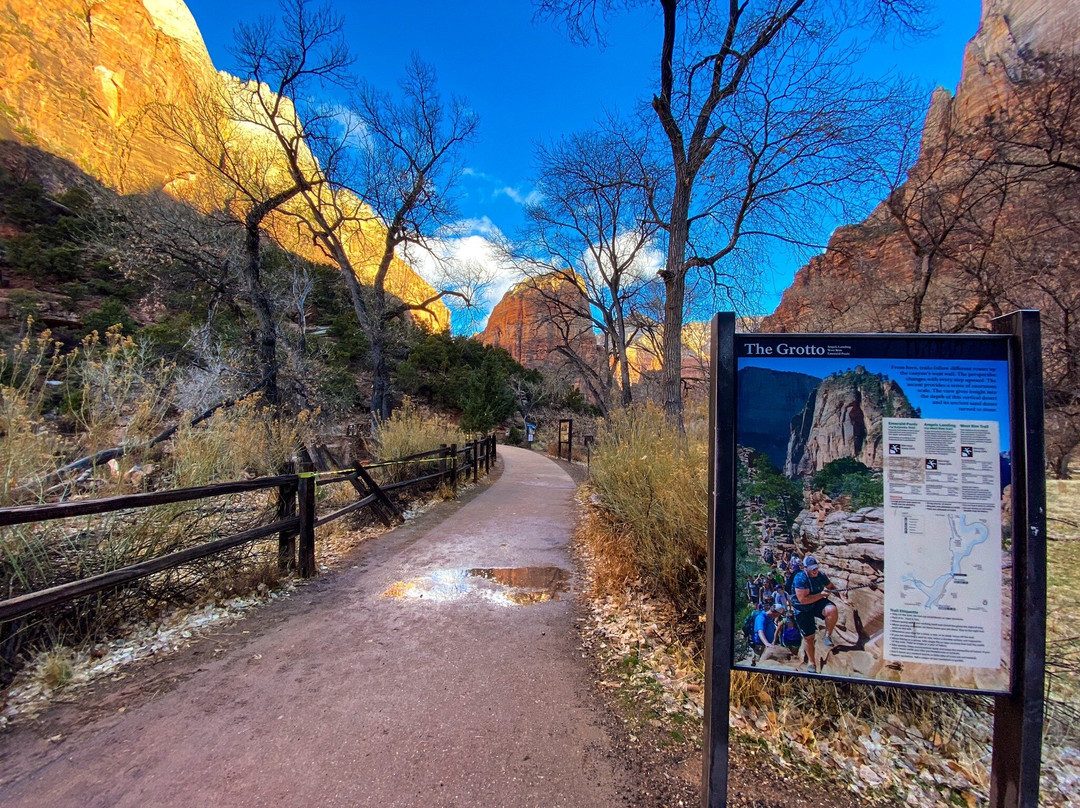 Grotto Trail-锡安国家公园必去景点