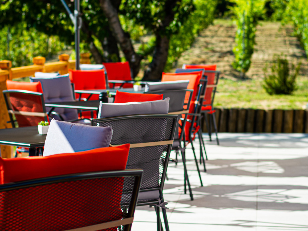 Sarki Roka Borhaz主图