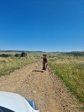 Spioenkop Nature Reserve景点图片