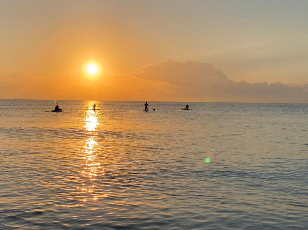 Balam SUP-普拉亚德尔卡曼必去景点