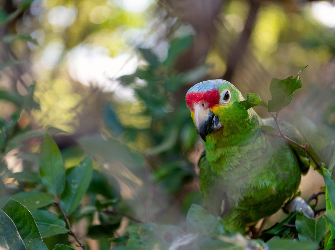 Side by Side ATV Tours & WILD LIFE-塔马林多必去景点