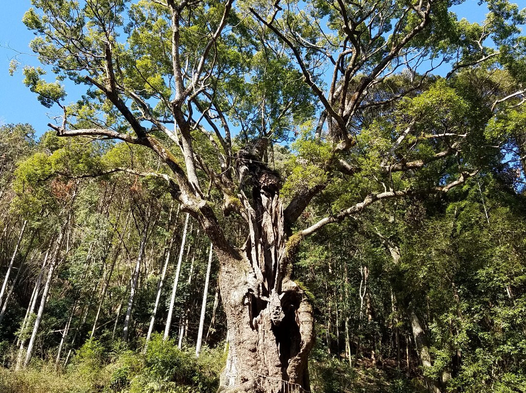 Takeo no Okusu-武雄市必去景点