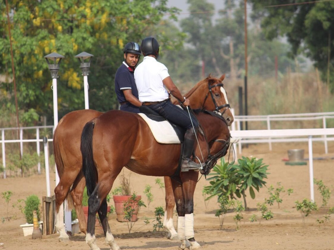 Aravali Horse Riding Club景点图片