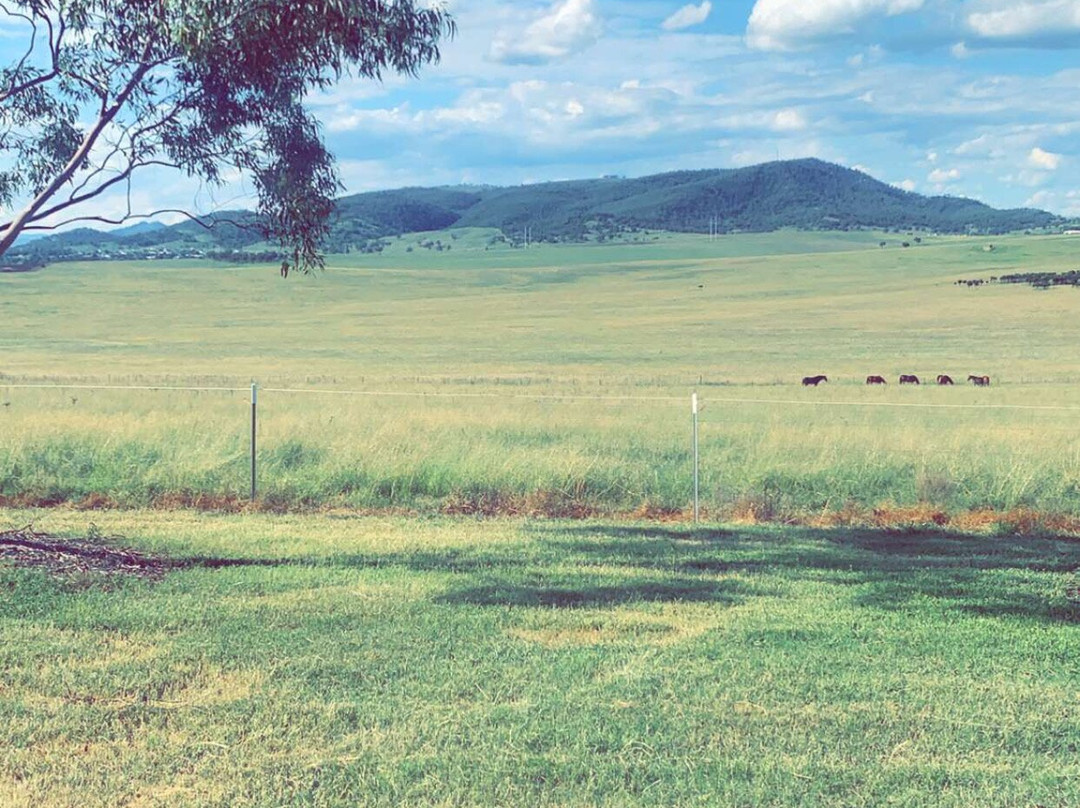 Strathearn Park Lodge主图