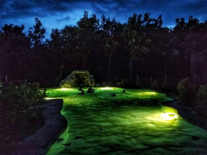 Tectona Resort主图