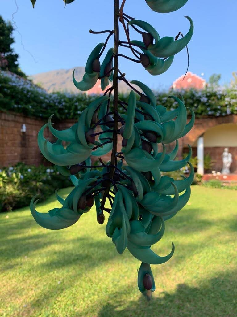 Thippanahalli Homestay-浴室
