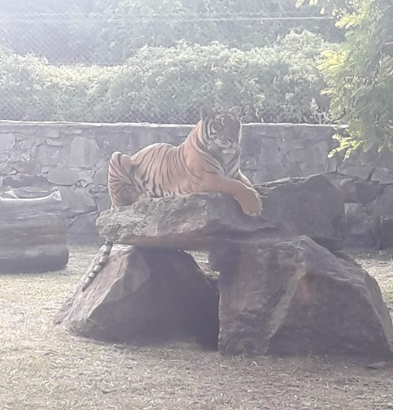 Zoo de Batan-Batan必去景点