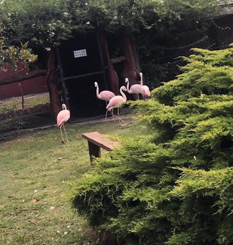 Zoo de Batan-Batan必去景点