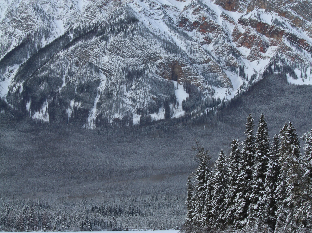 金字塔湖度假酒店主图