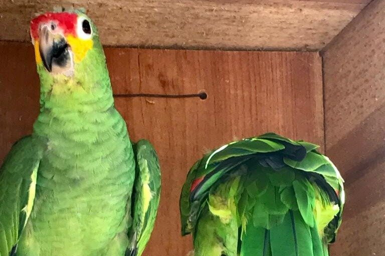 Proyecto Santa María-Telchac Puerto必去景点