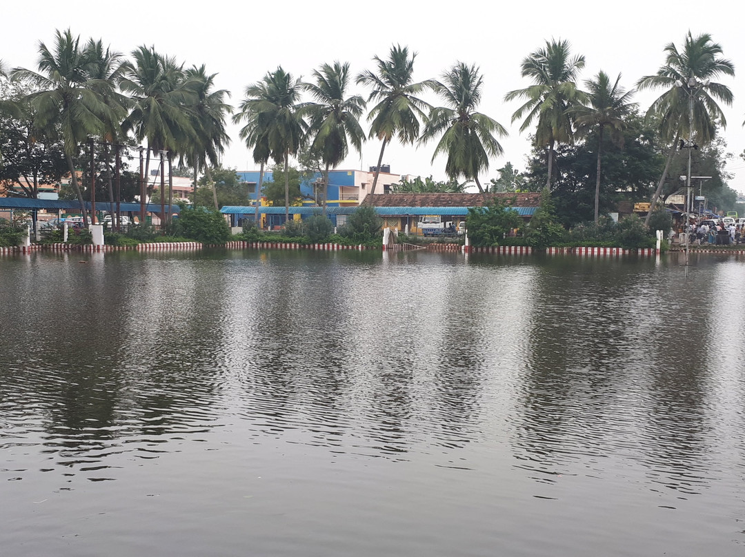 Karpagavinayagar Temple景点图片