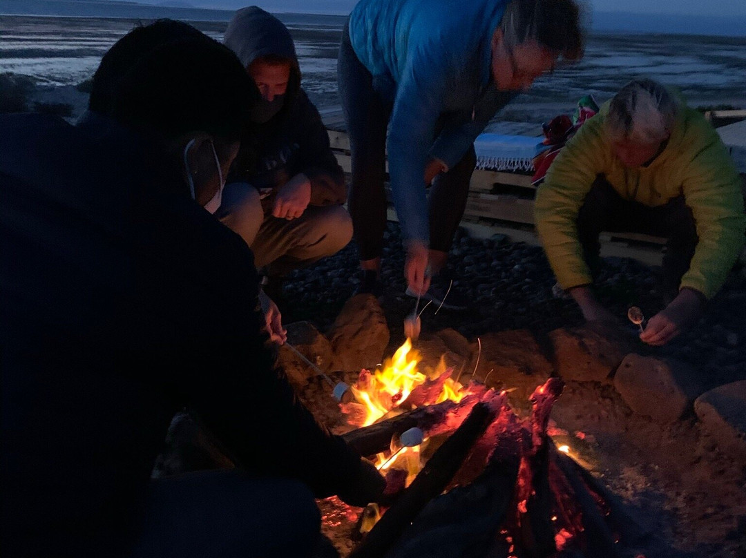 Nautilus Dive Adventures-San Ignacio必去景点