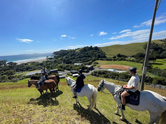 Sandy Bay Horses景点图片