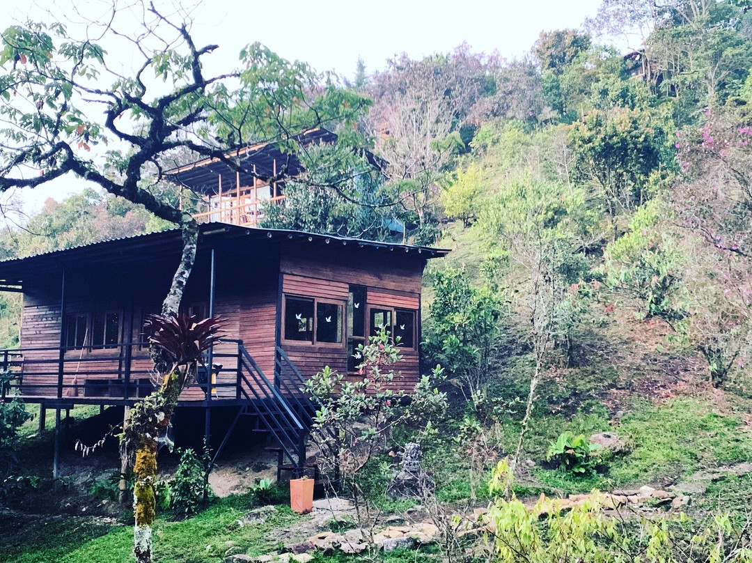 La Casa De Loto Meditation & Yoga Retreats