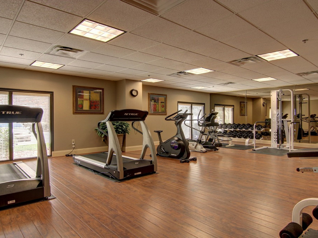 Holiday Inn Express & Suites Alpharetta - Windward Parkway By IHG主图