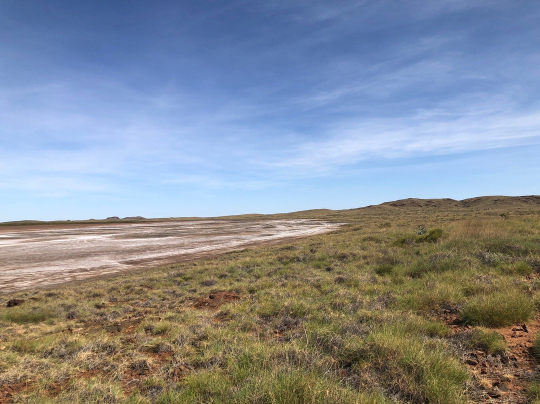 Red Dog Memorial-Cossack必去景点