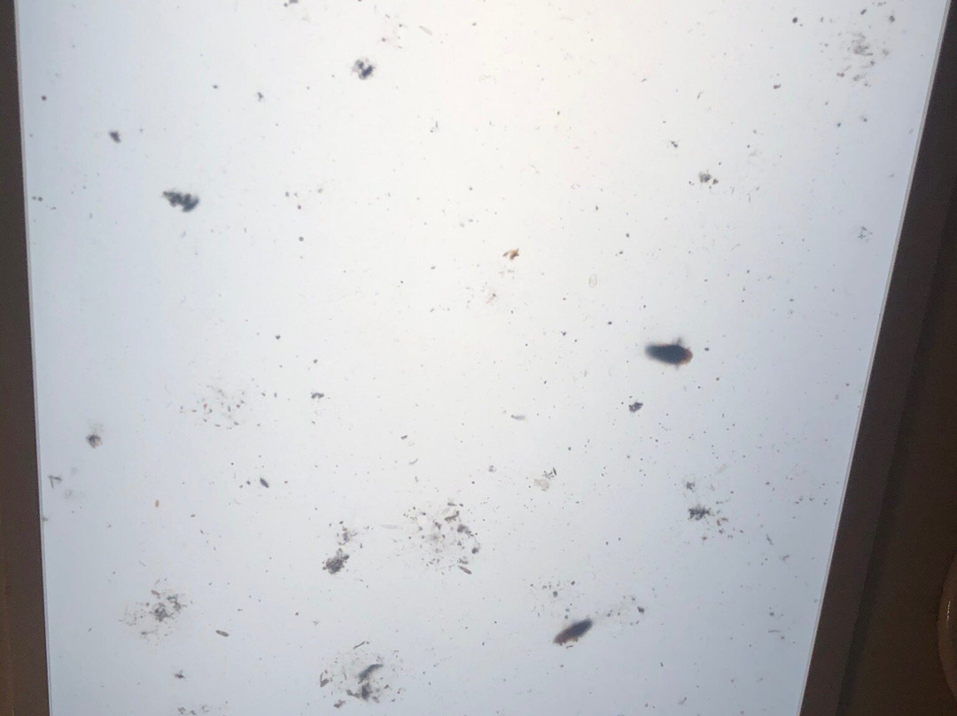 Horizons Golf Resort-Salamander Bay必去景点