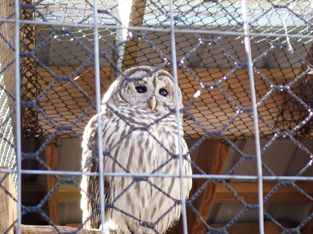 Edgar Evins State Park-Silver Point必去景点