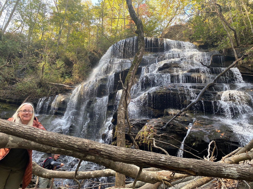 Yellow Branch Falls景点图片