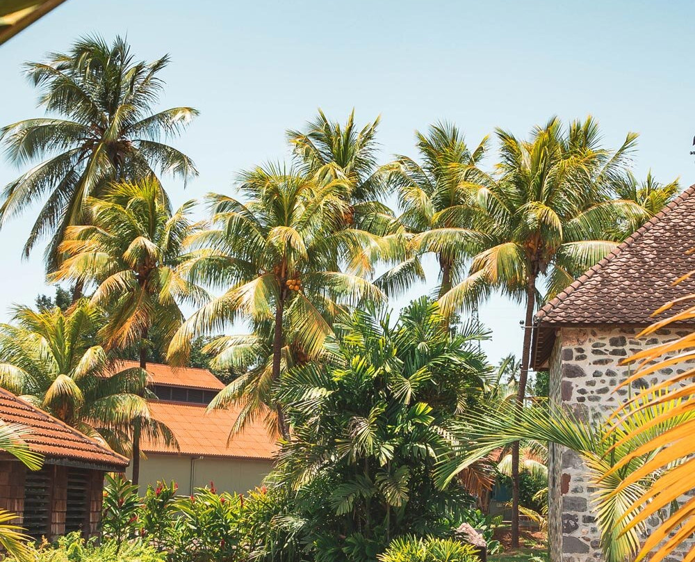 Habitation La Salle-Sainte Marie必去景点