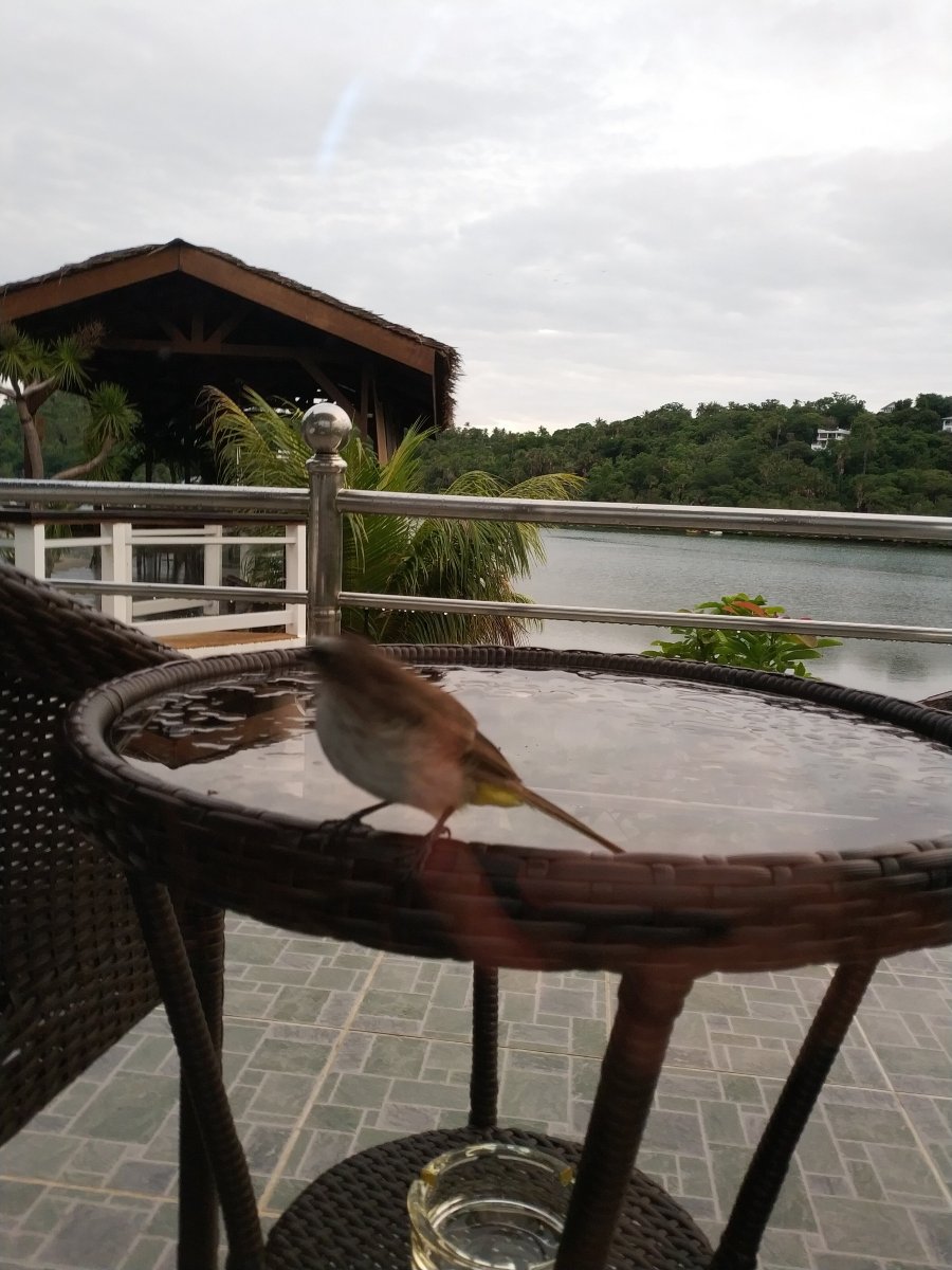 埃奇沃特潜水及水疗度假村-portrait