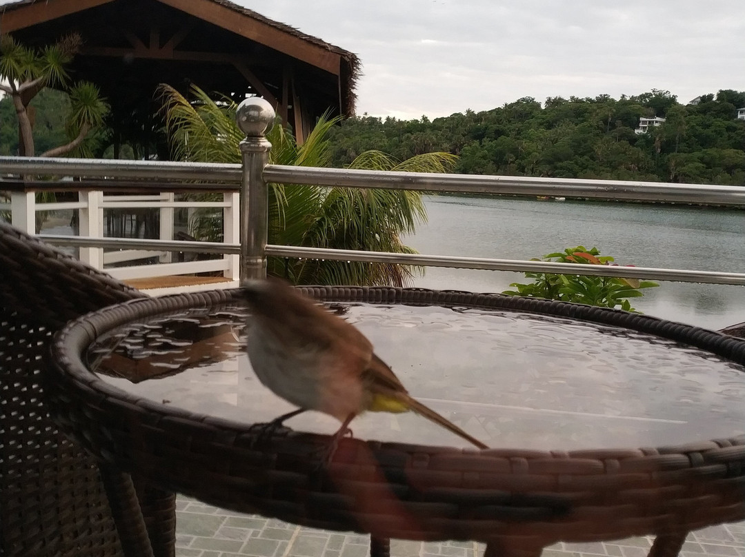 埃奇沃特潜水及水疗度假村主图