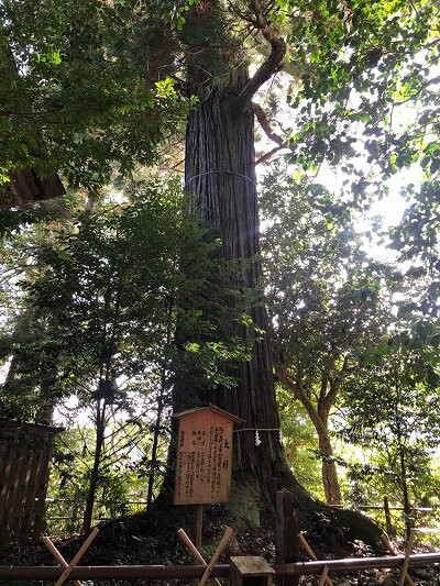 Susa Shrine-出云市必去景点