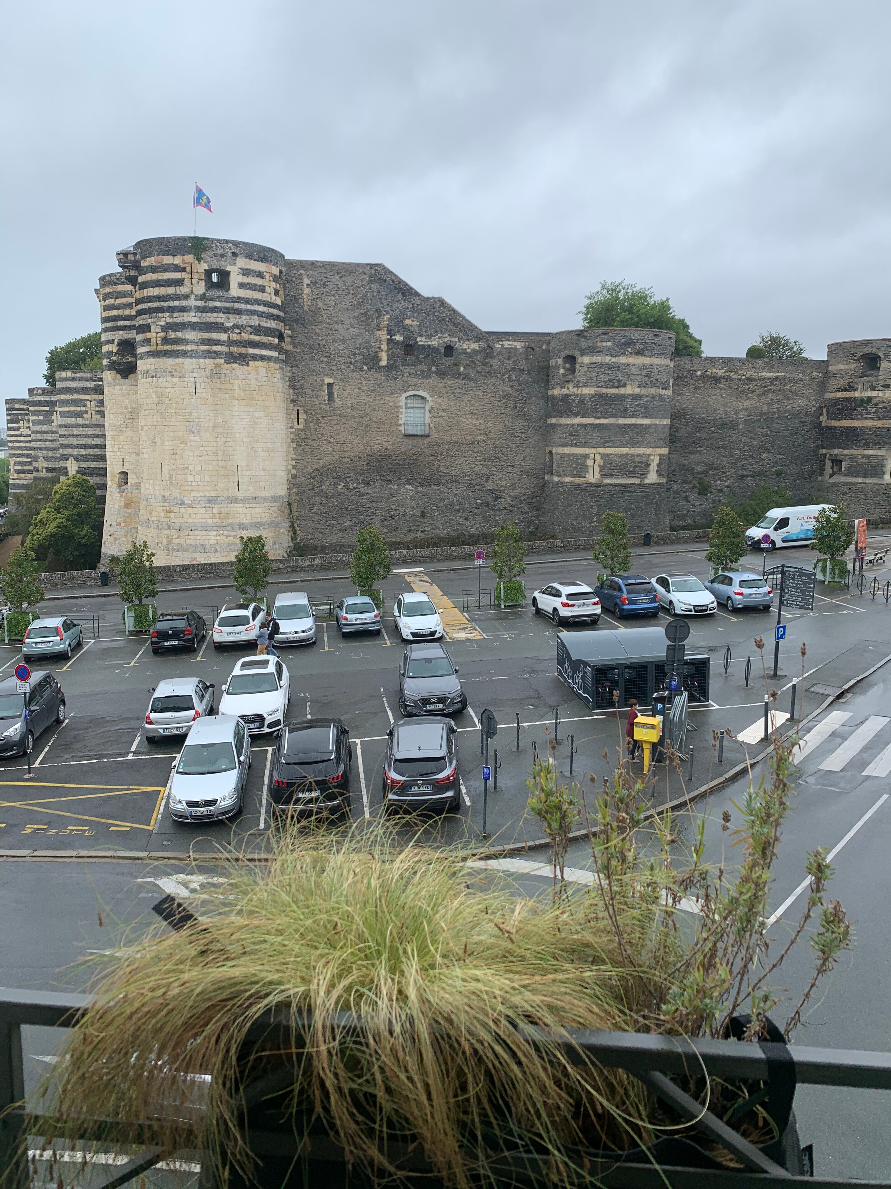 Logis Hôtel Marguerite d'Anjou-酒店景观