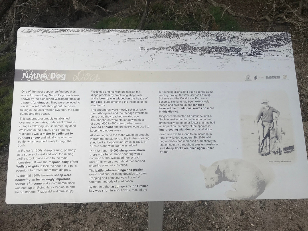 Native Dog Beach景点图片