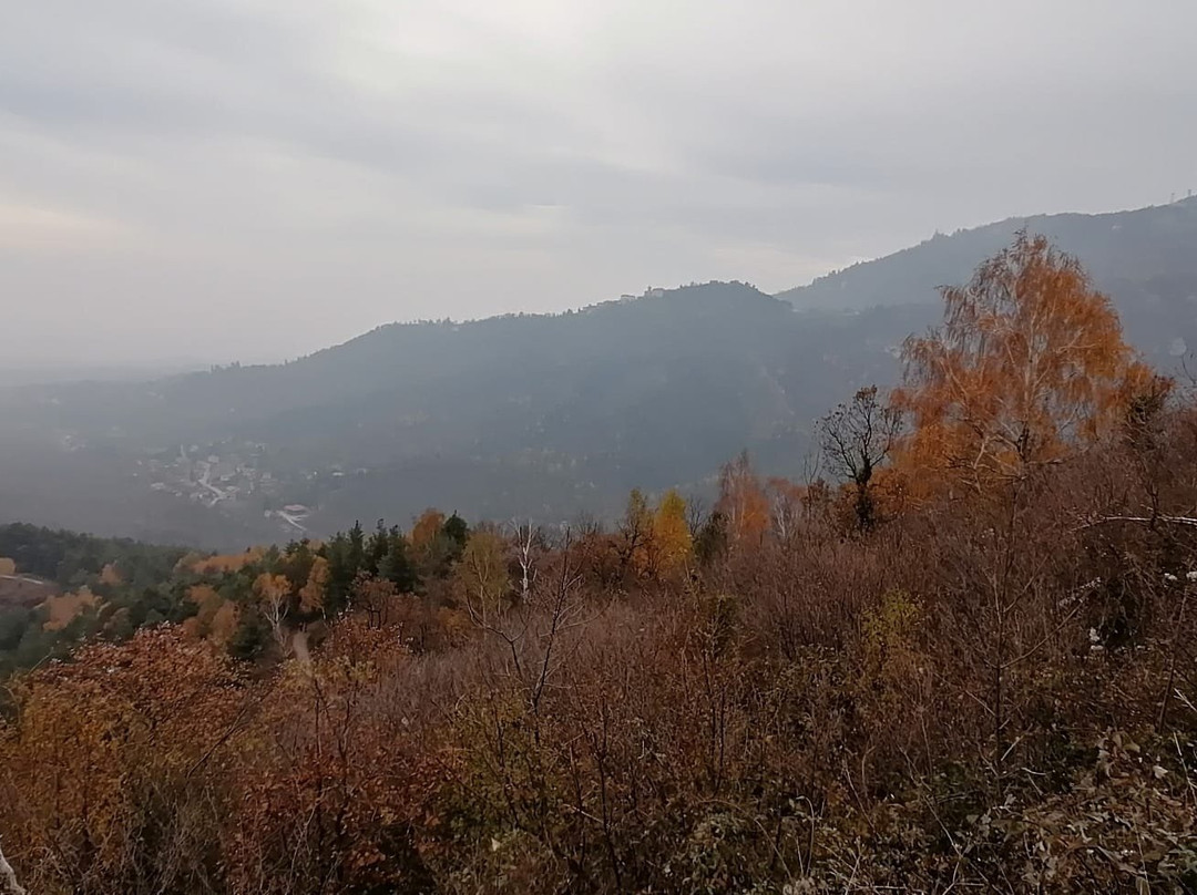 Parco Regionale Campo dei Fiori景点图片