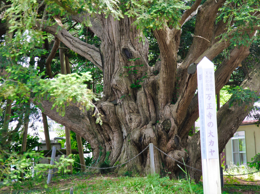 Large Kaya of Manshoji-桑折町必去景点