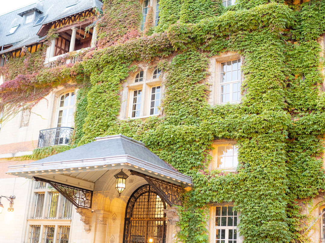 Château Jeanne & The Forest主图