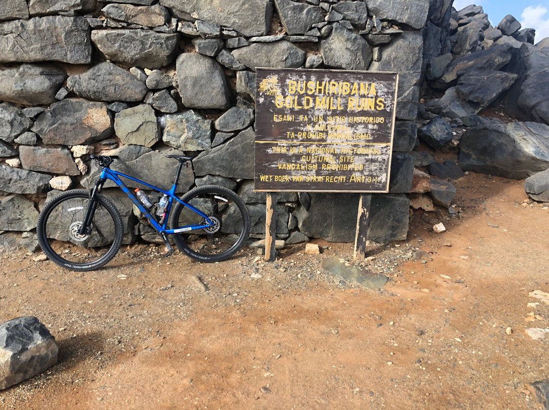 TRI-BIKE ARUBA-Santa Cruz必去景点